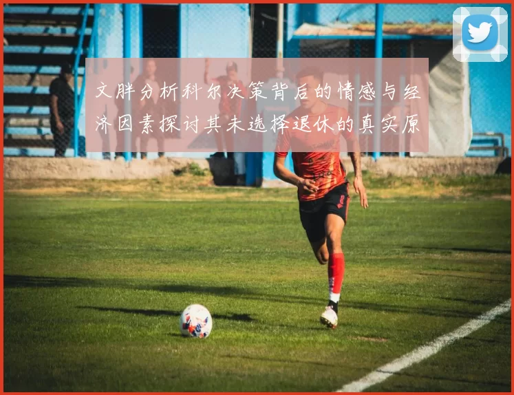 文胖分析科尔决策背后的情感与经济因素探讨其未选择退休的真实原因